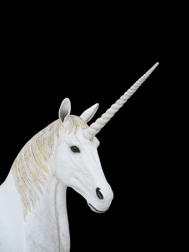 Unicorn Horn Artifact